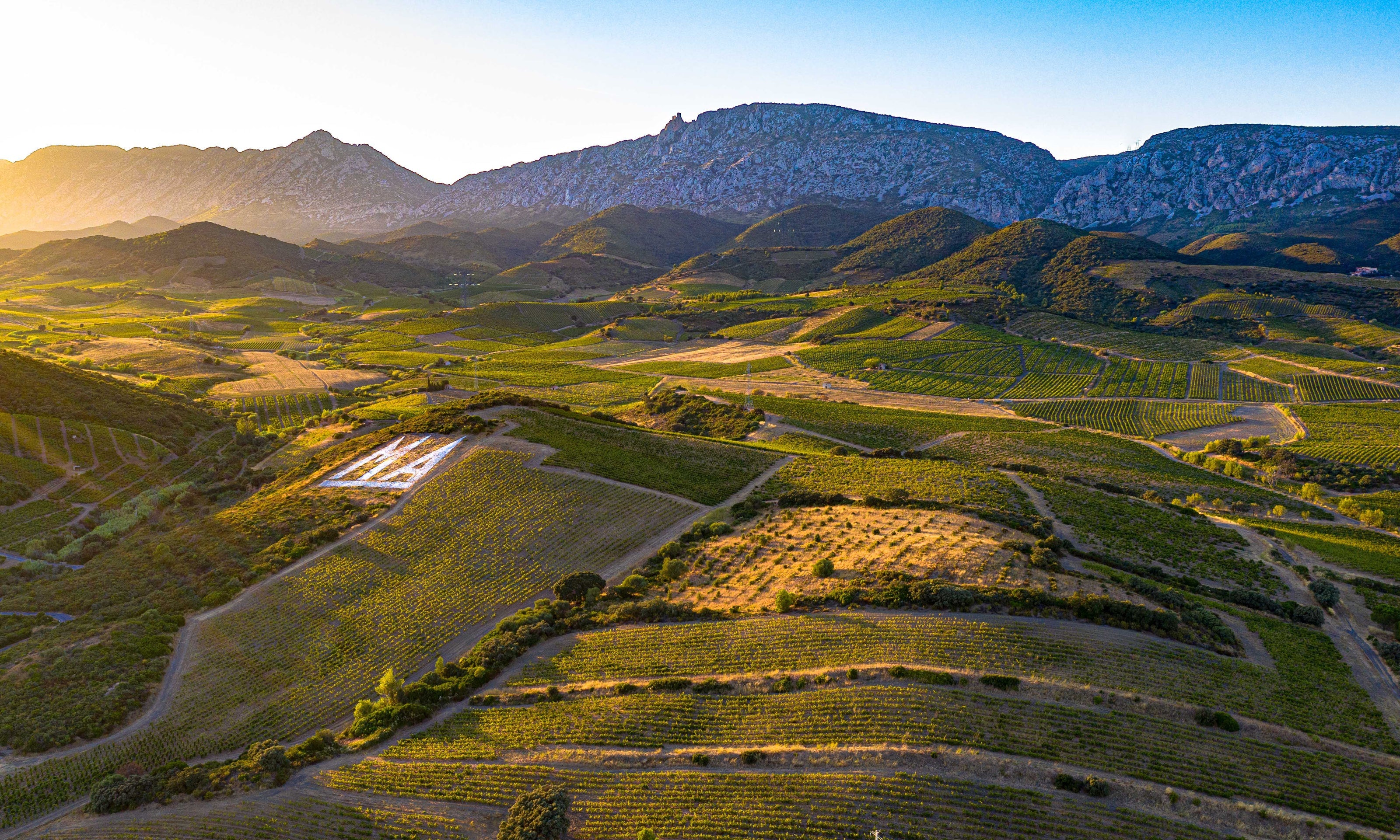 Dégustation Gratuite des 25 cuvées du Mas Amiel