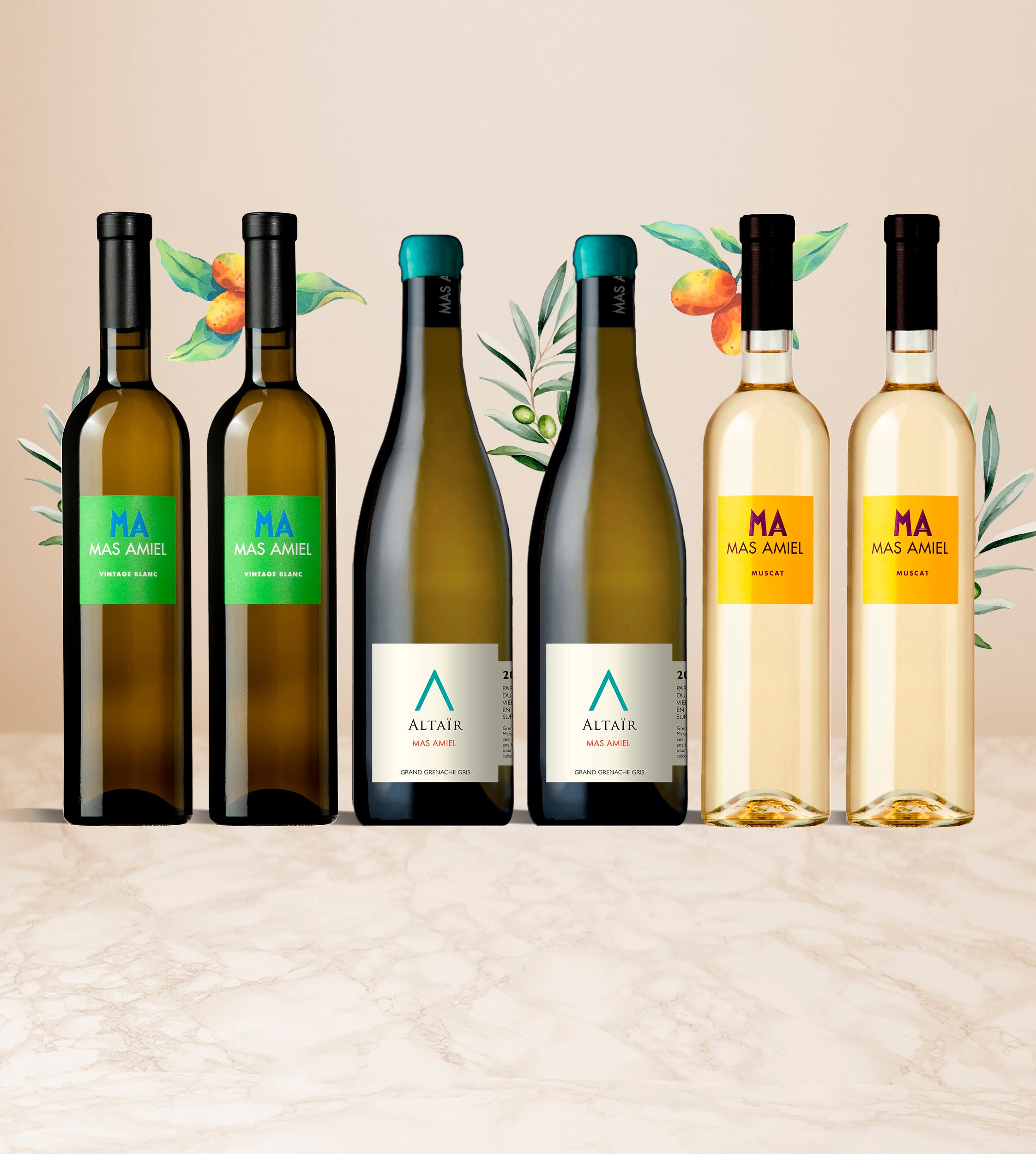 Coffret d'Été : Plaisir de Vins Blancs
